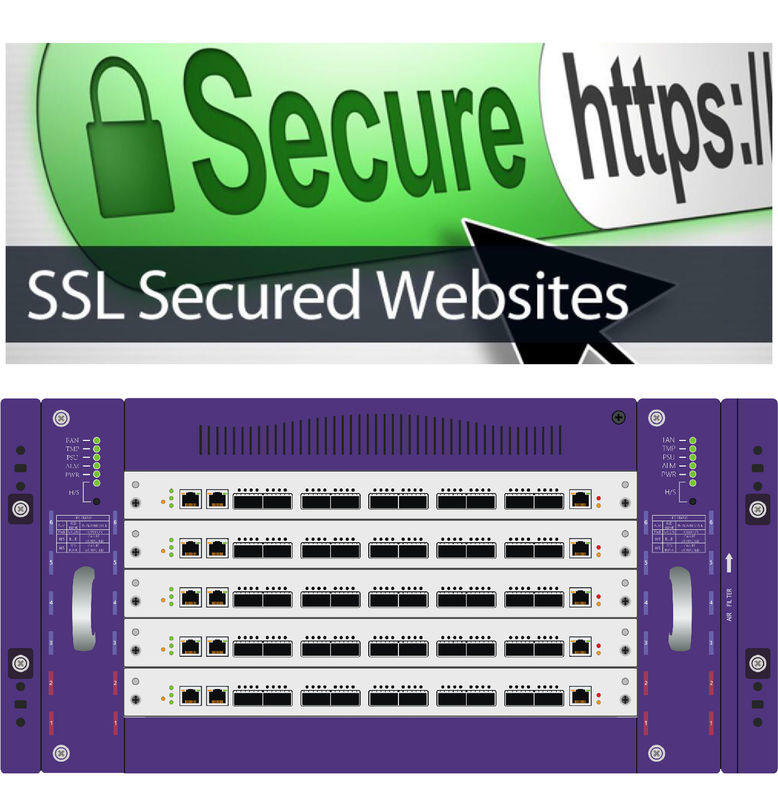 Καθαρή διορατικότητα απειλής βρυσών δικτύων διαφάνειας της ασφάλειας Cyber οργάνων ελέγχου πρωτοκόλλου SSL και TLS HTTP